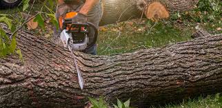 Best Artificial Turf Installation  in Lac Du Flambeau, WI