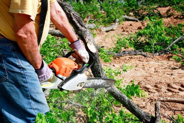 Best Hazardous Tree Removal  in Lac Du Flambeau, WI